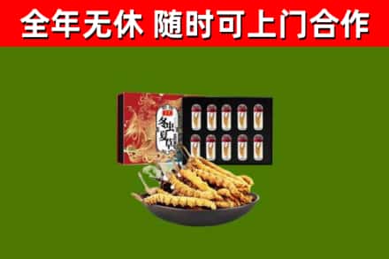 武穴回收冬虫夏草价格