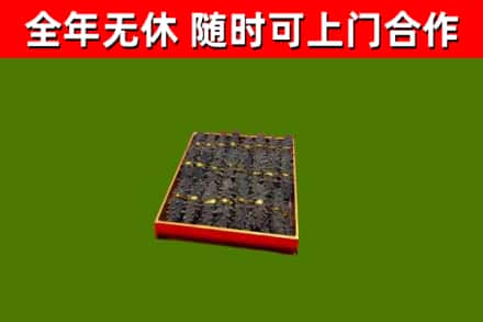 武穴回收海参